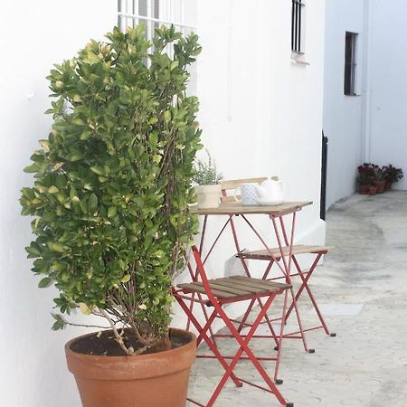 La Moradita Vejer de la Frontera Exterior photo